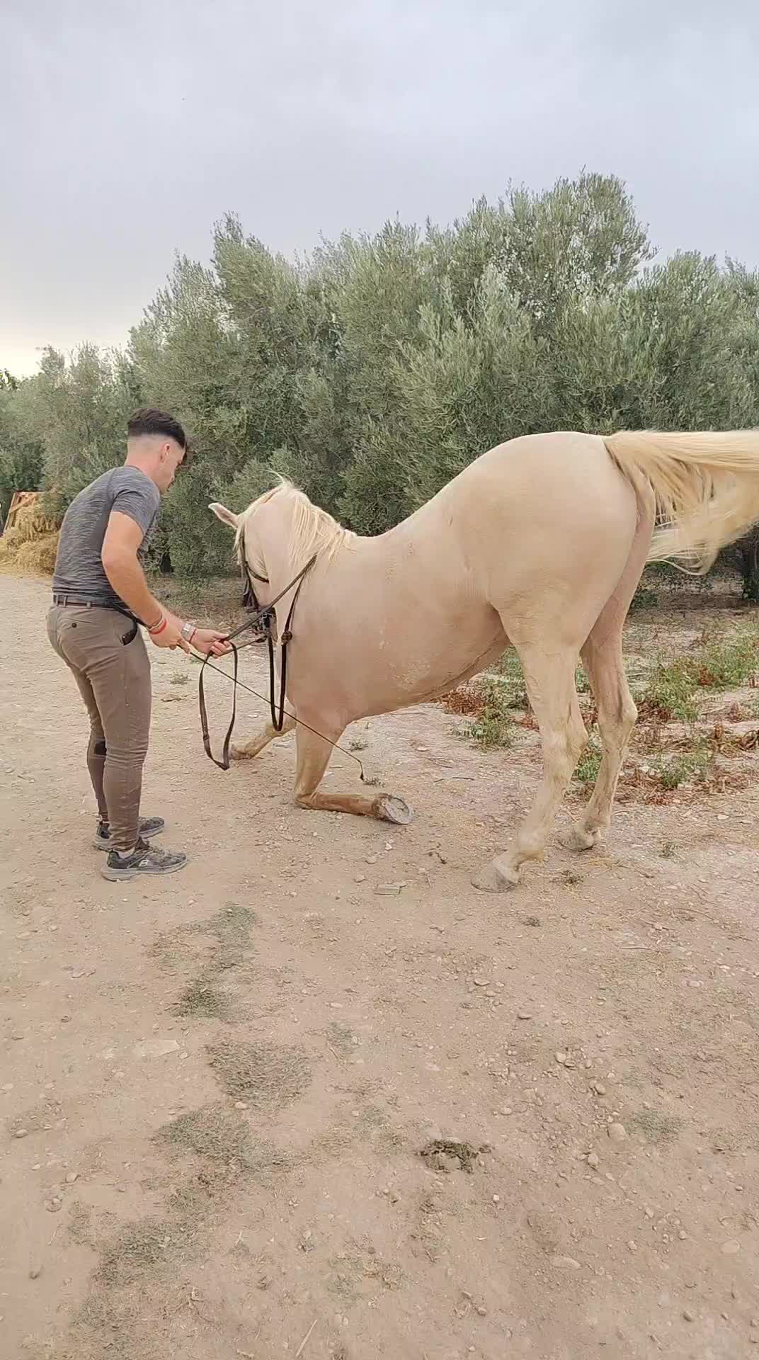 @dgz_65