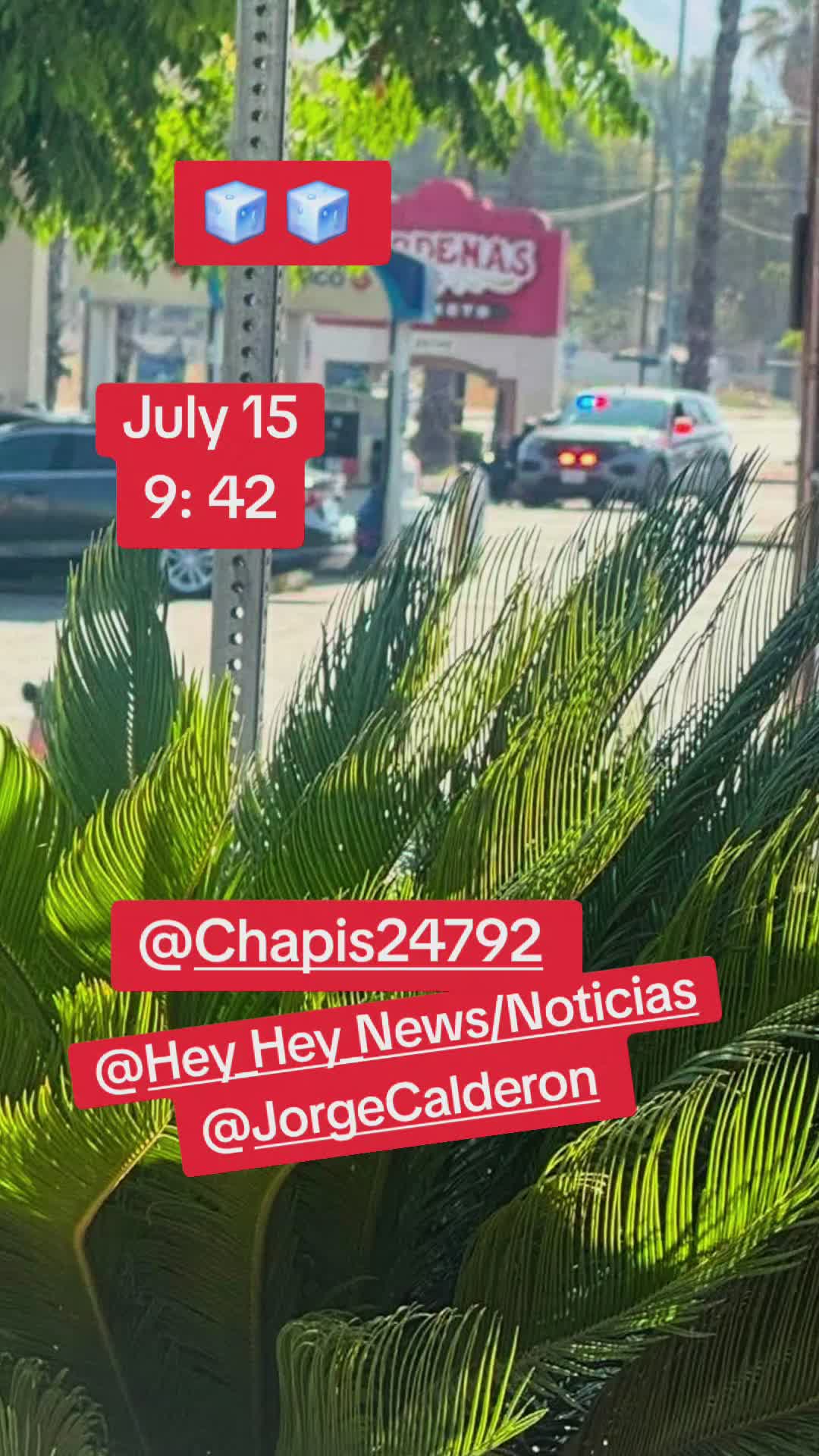 @chapis2479