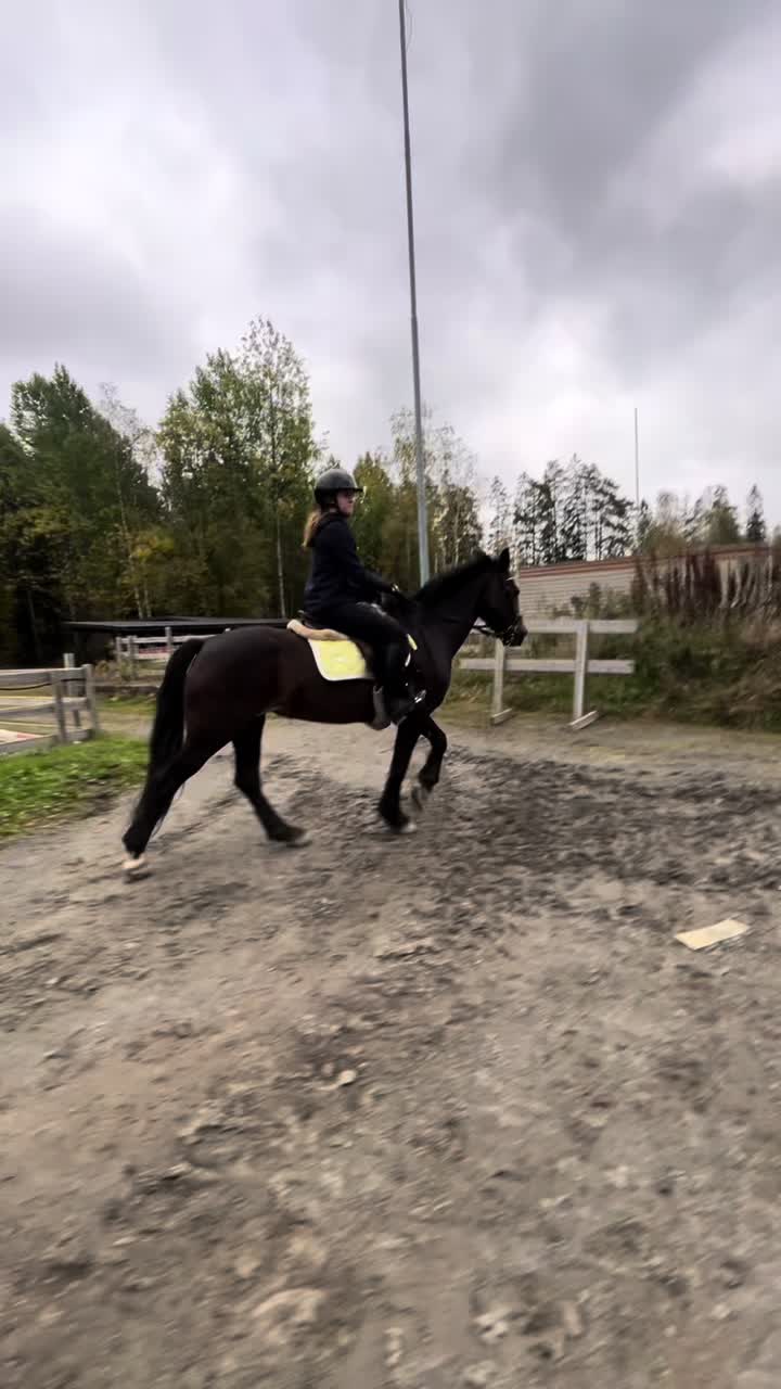 @Equi_…