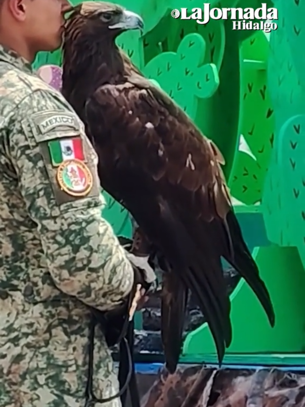 @CarlosMartín.🇲🇽❤️