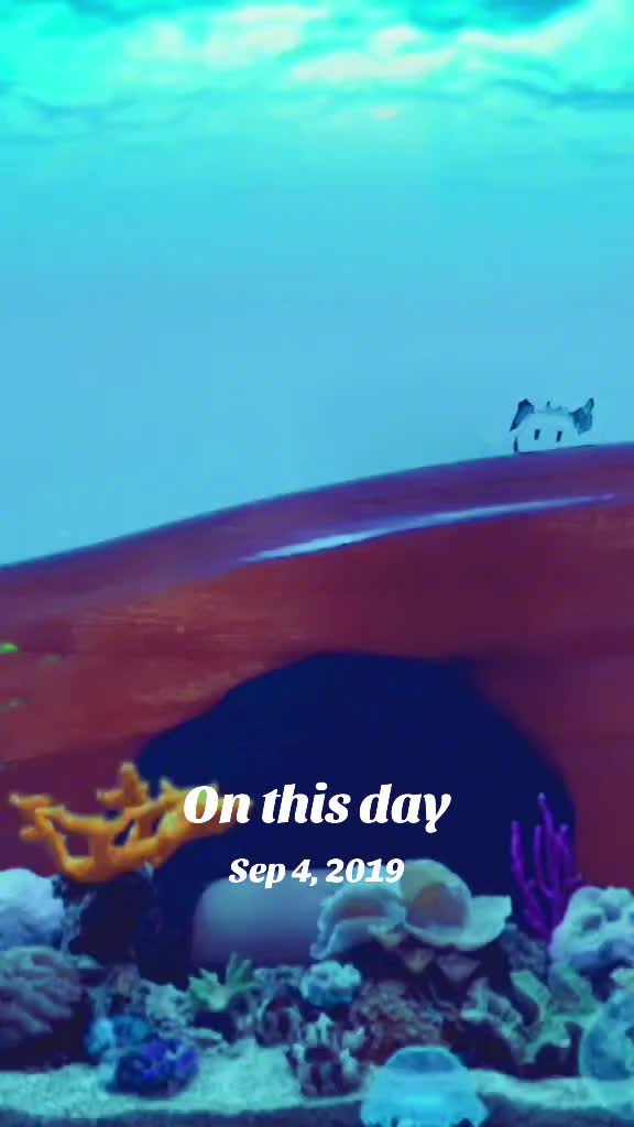 @🤲marianaeem1205🤲