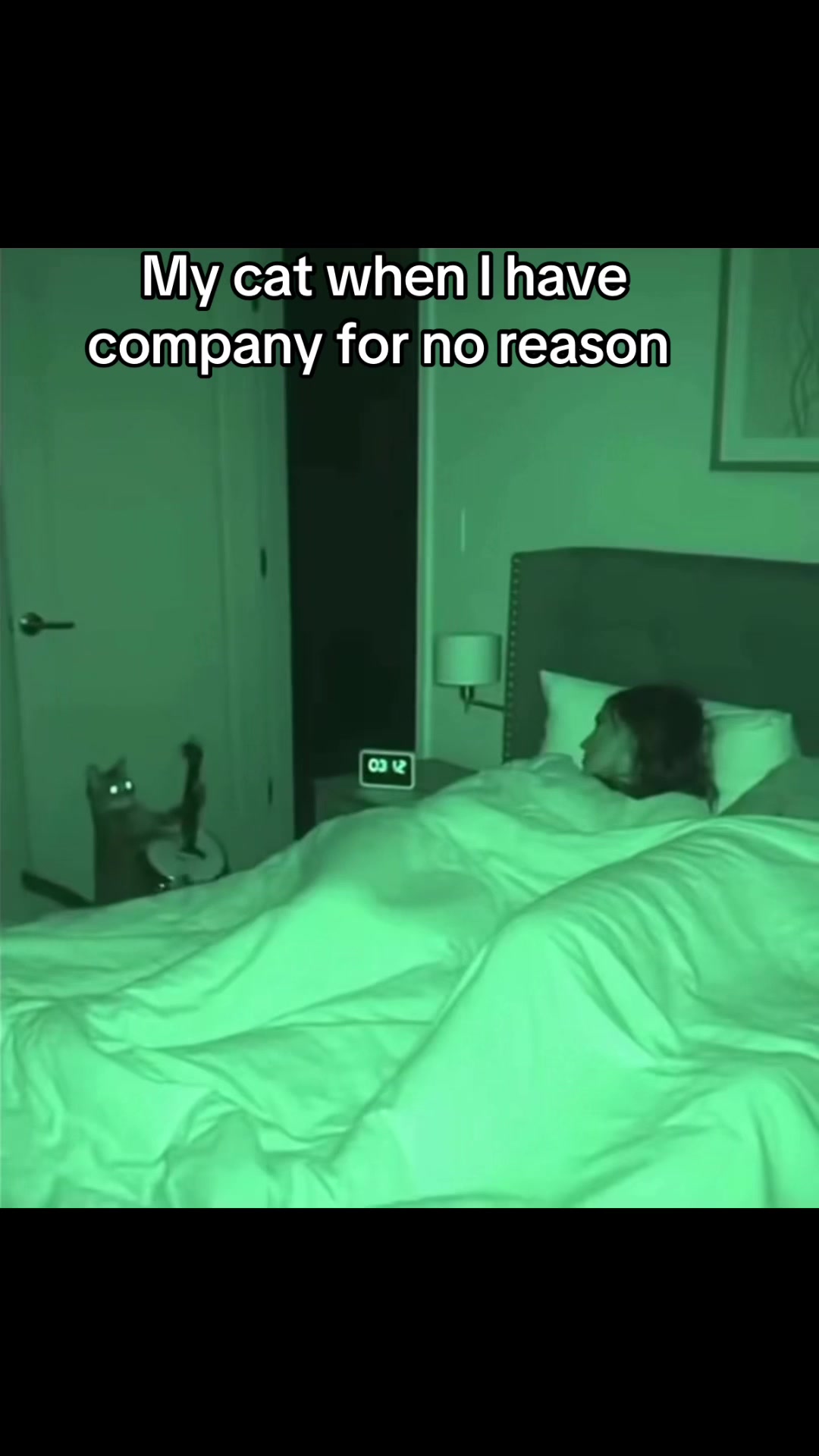 @Ricotrap