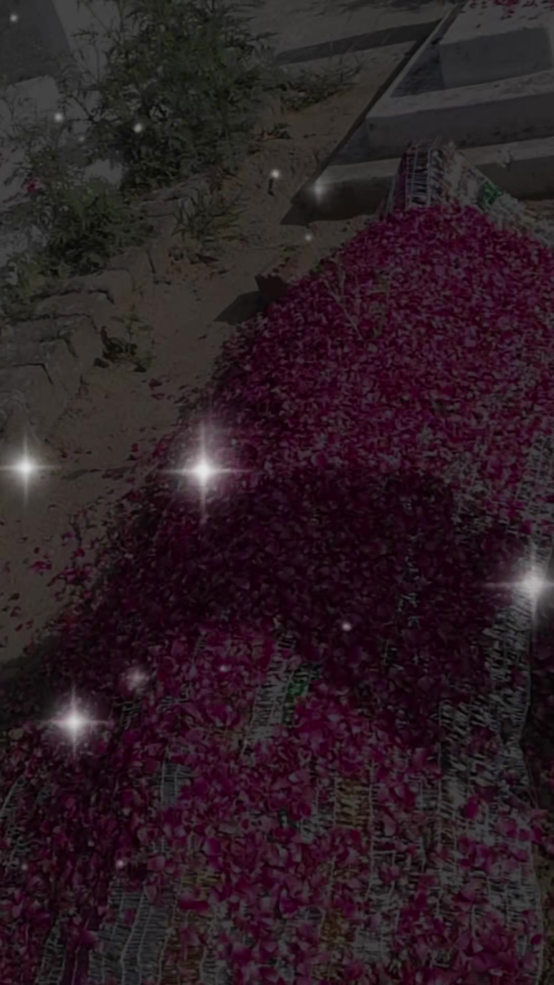 @❦︎༄🦋🅐︎ Ⓚ︎🅗︎Ⓐ︎🅝︎🦋࿐