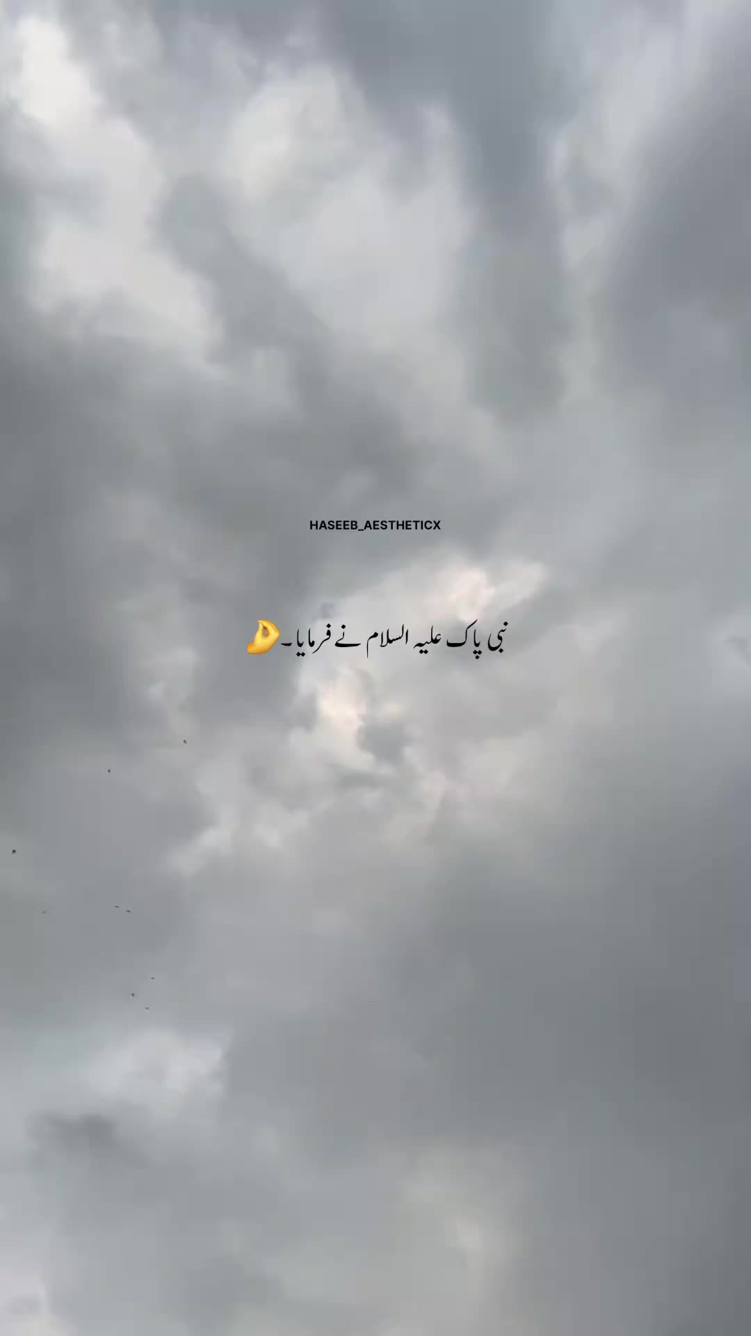 @AESTHETICX