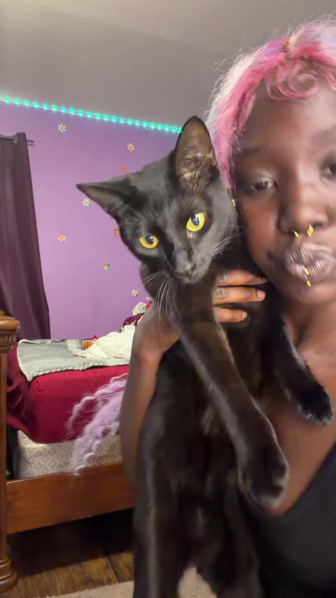 @Lina🐈⬛
