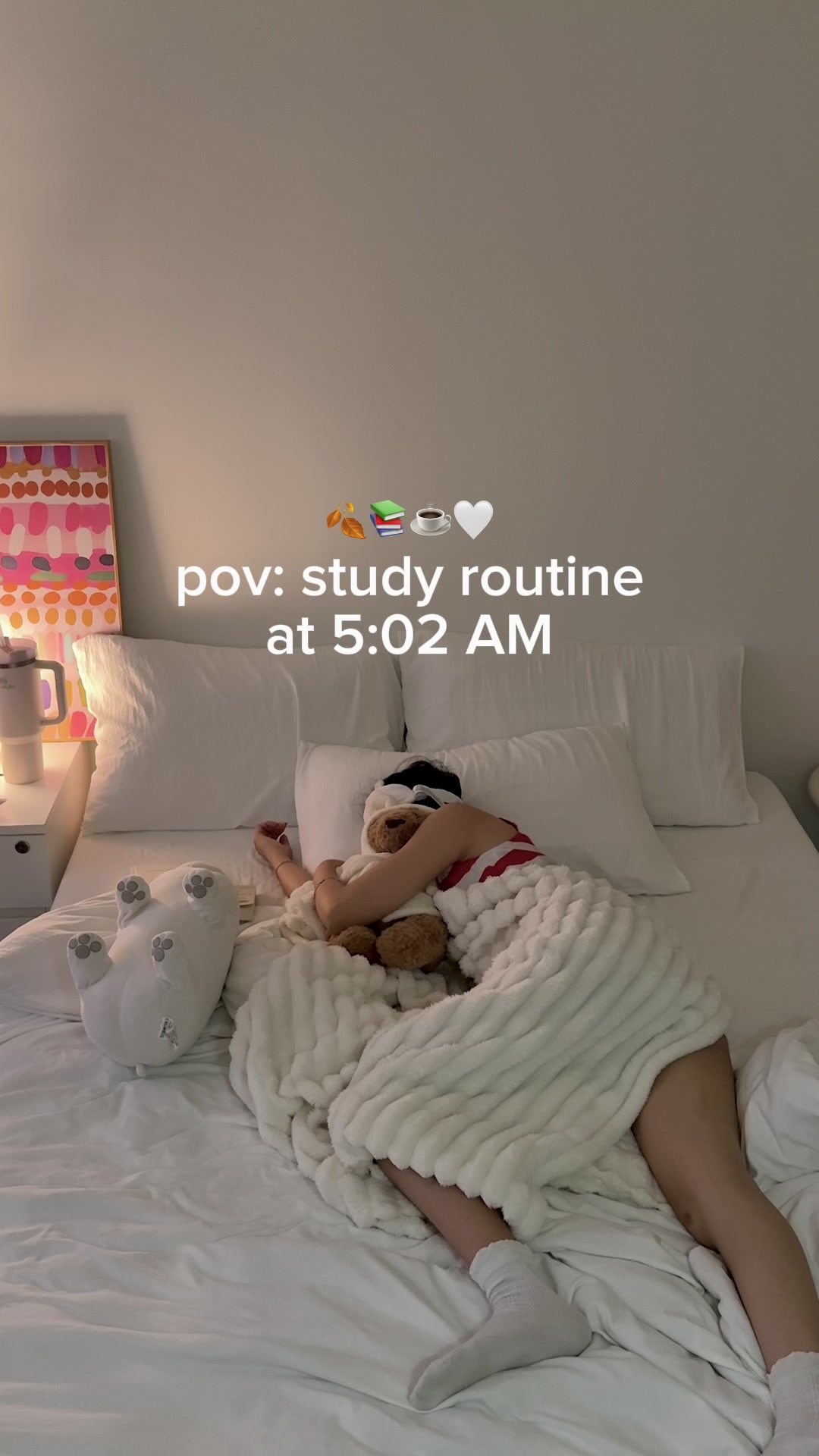 @Alice | study & tech 🧸