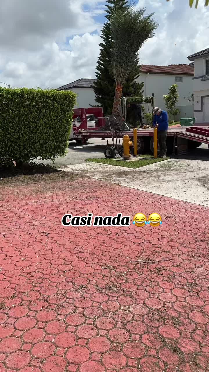 @Oziel🌴🔥