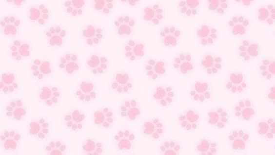 @૮₍ ´ ꒳ `₎ა