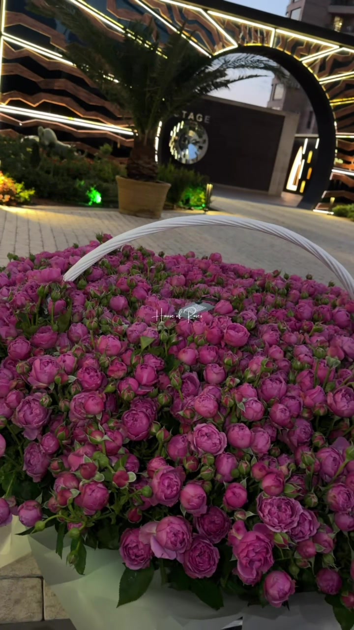 @Թարմ Վարդեր 🌹