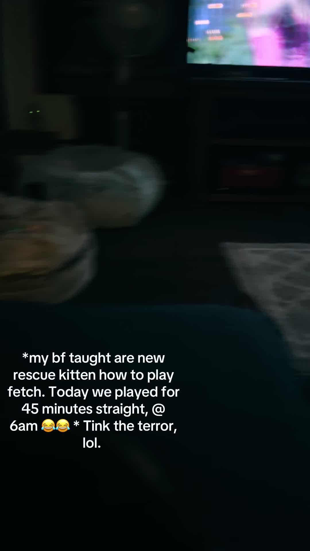 @Nicole Danielle
