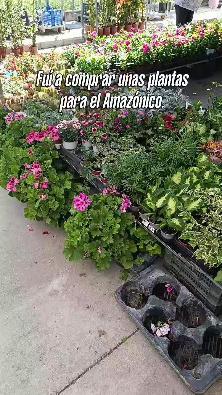 @Acuariosuna