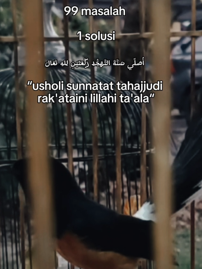 @DEN BAGUS
