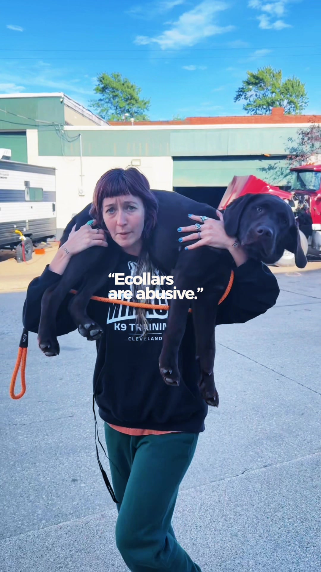 @Miracle K9 Training