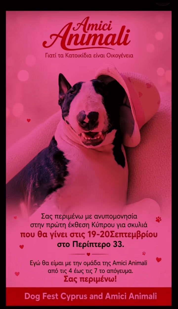 @zizel Bull terrier