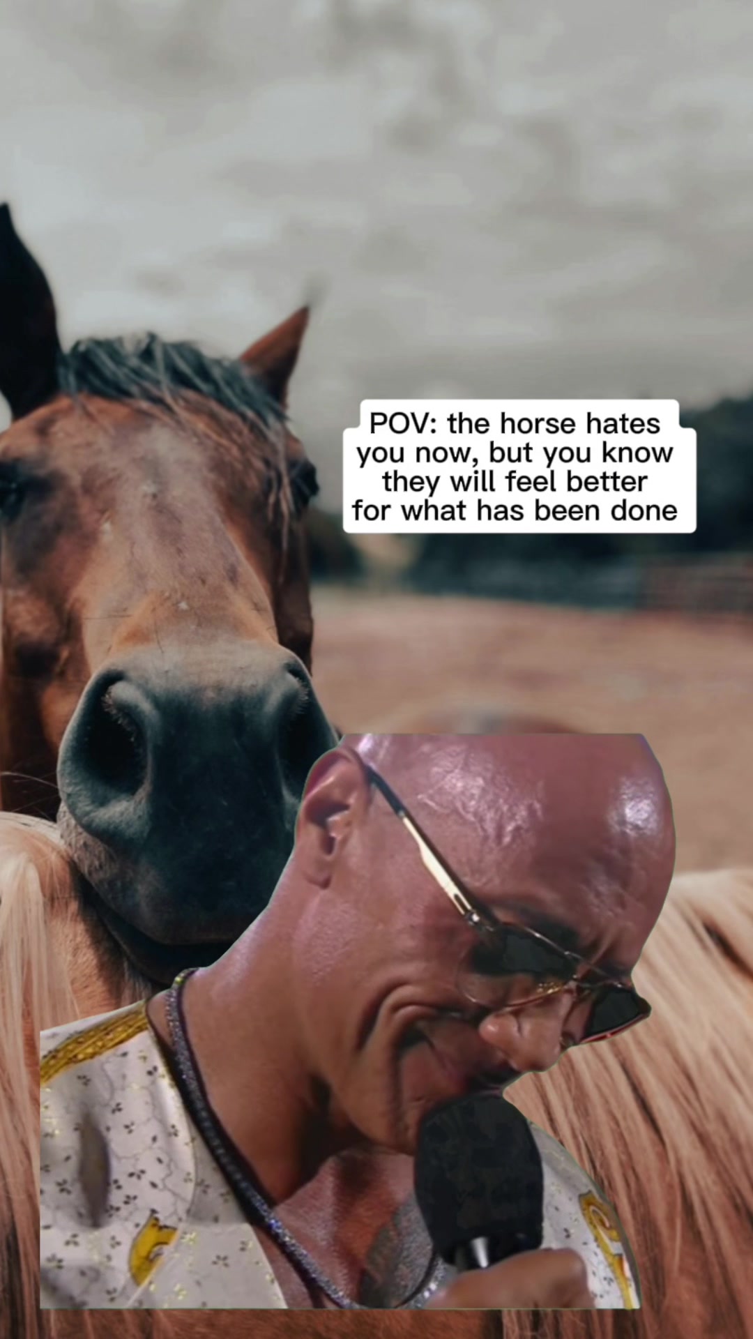@Em the Equine Vet