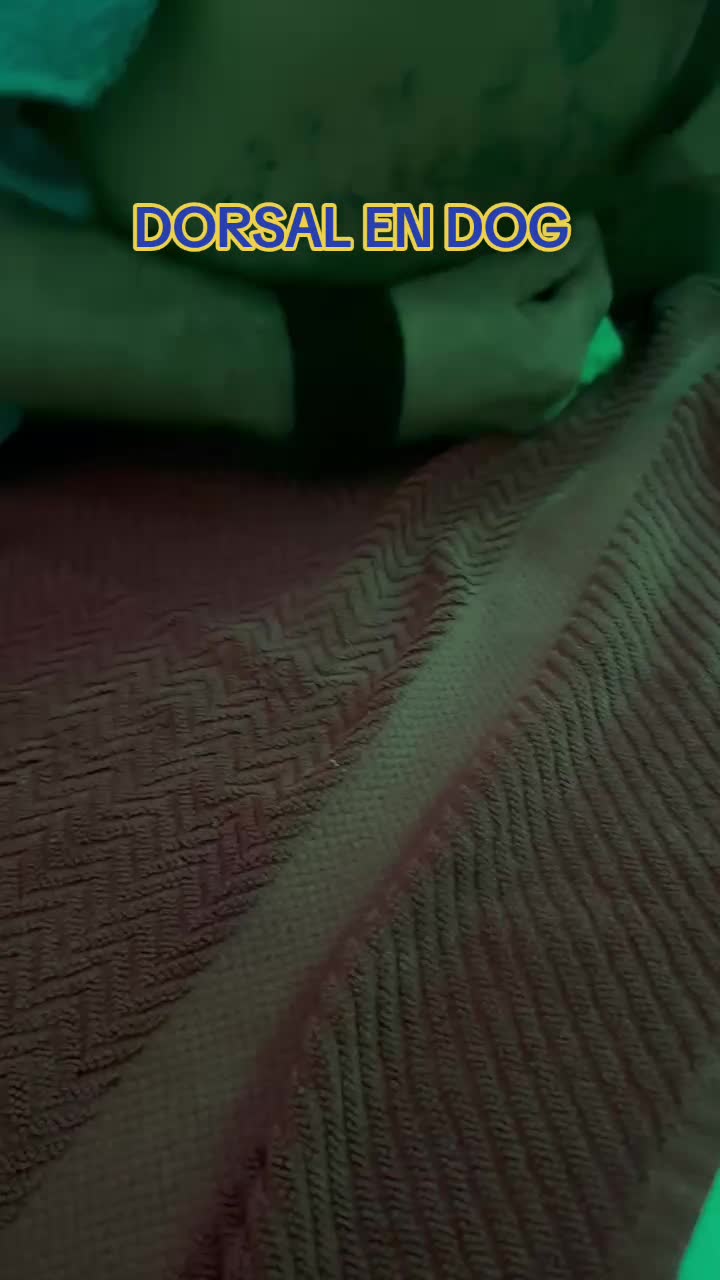 @centrointegralchakra