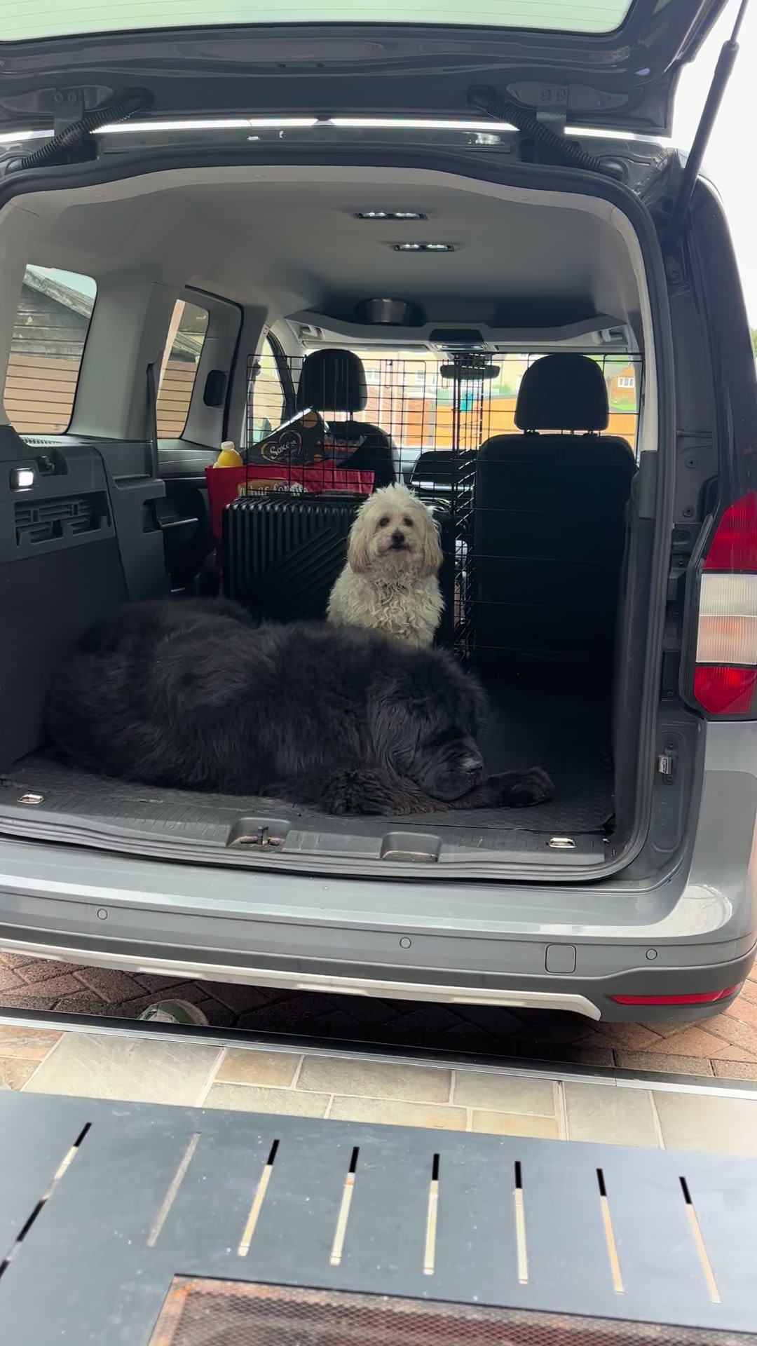 @Pablopoppypiperpoodle