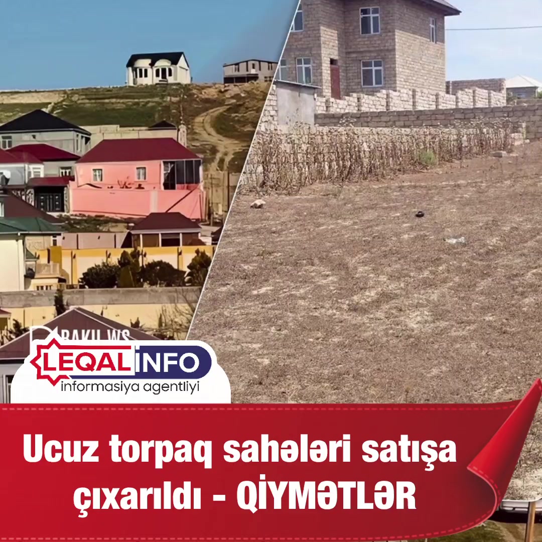@leqalinfo