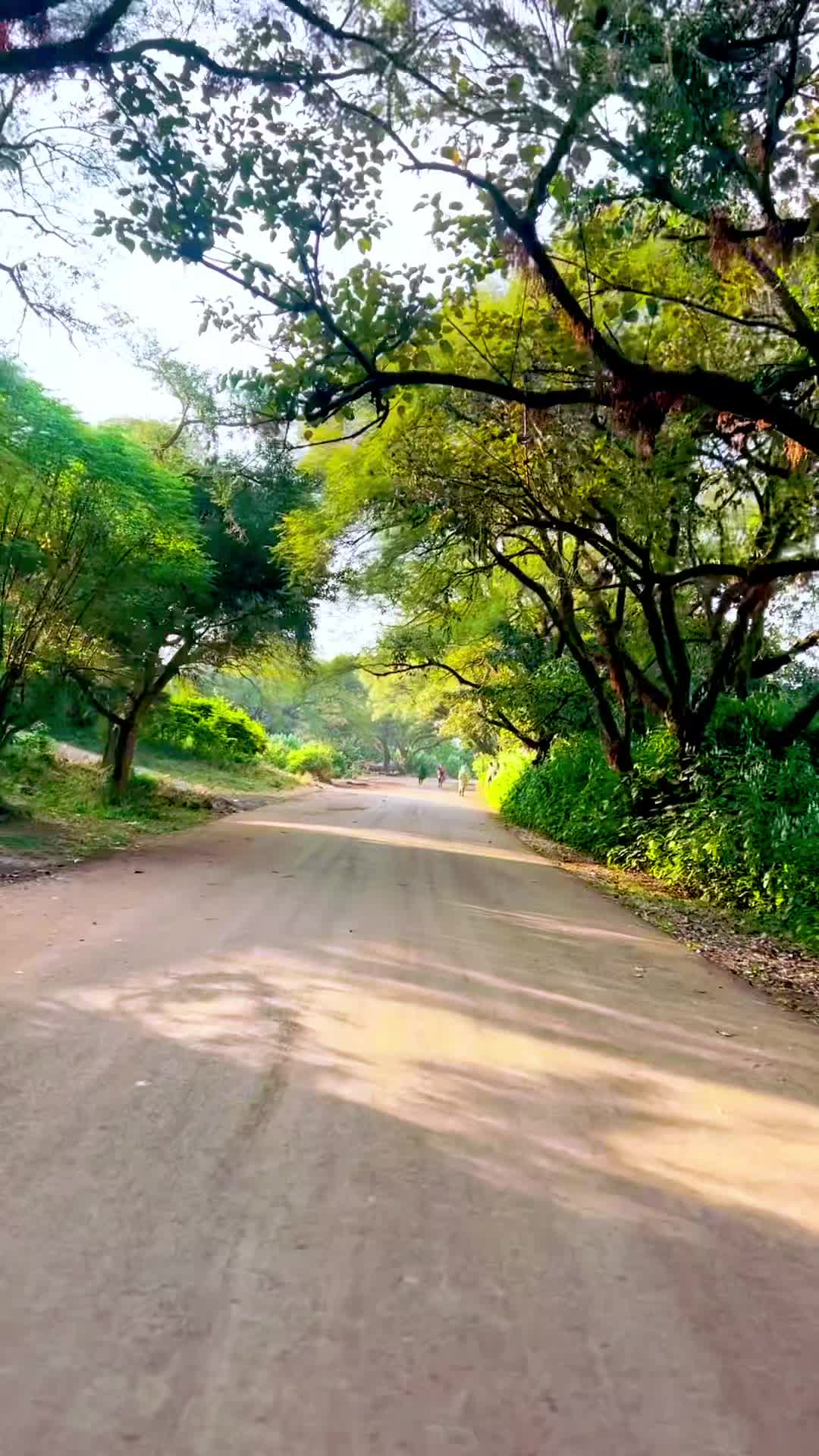 @๐ด VISIT ๐ด BAHIR DAR ๐ด