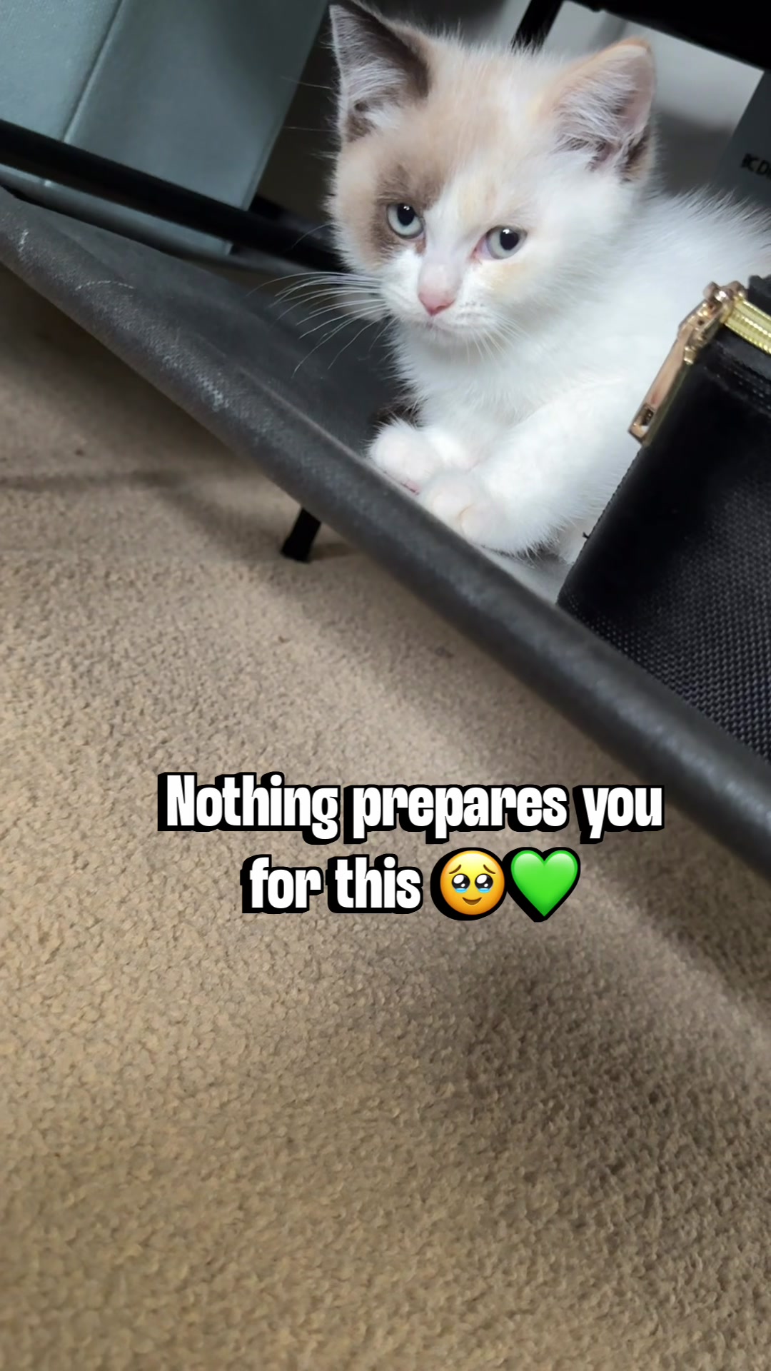 @slavic_cat_mum