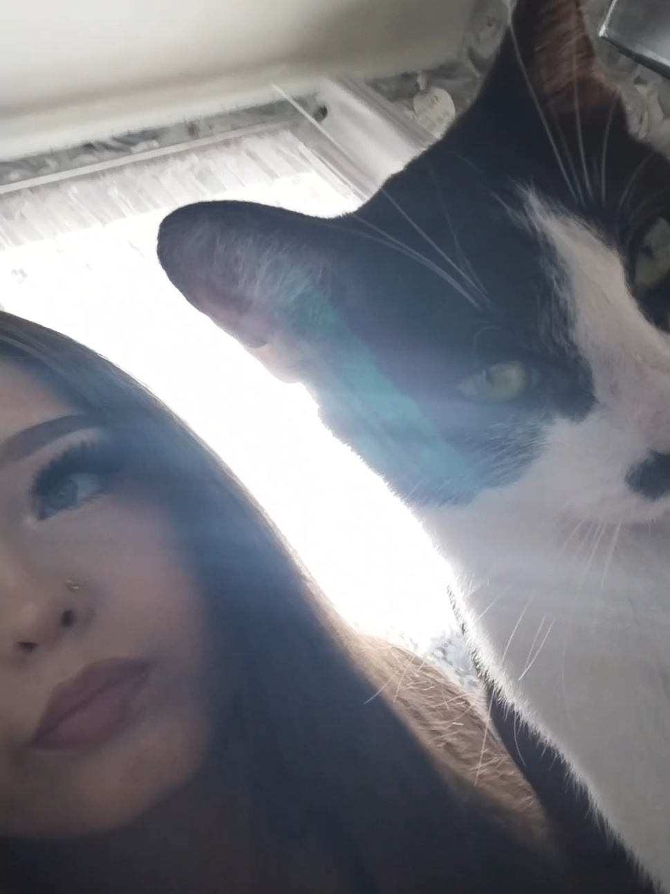 @โ