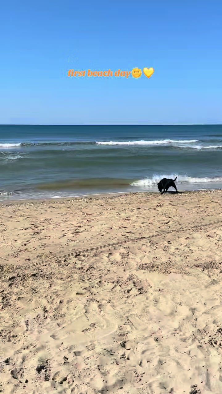 @staffie.young.tao