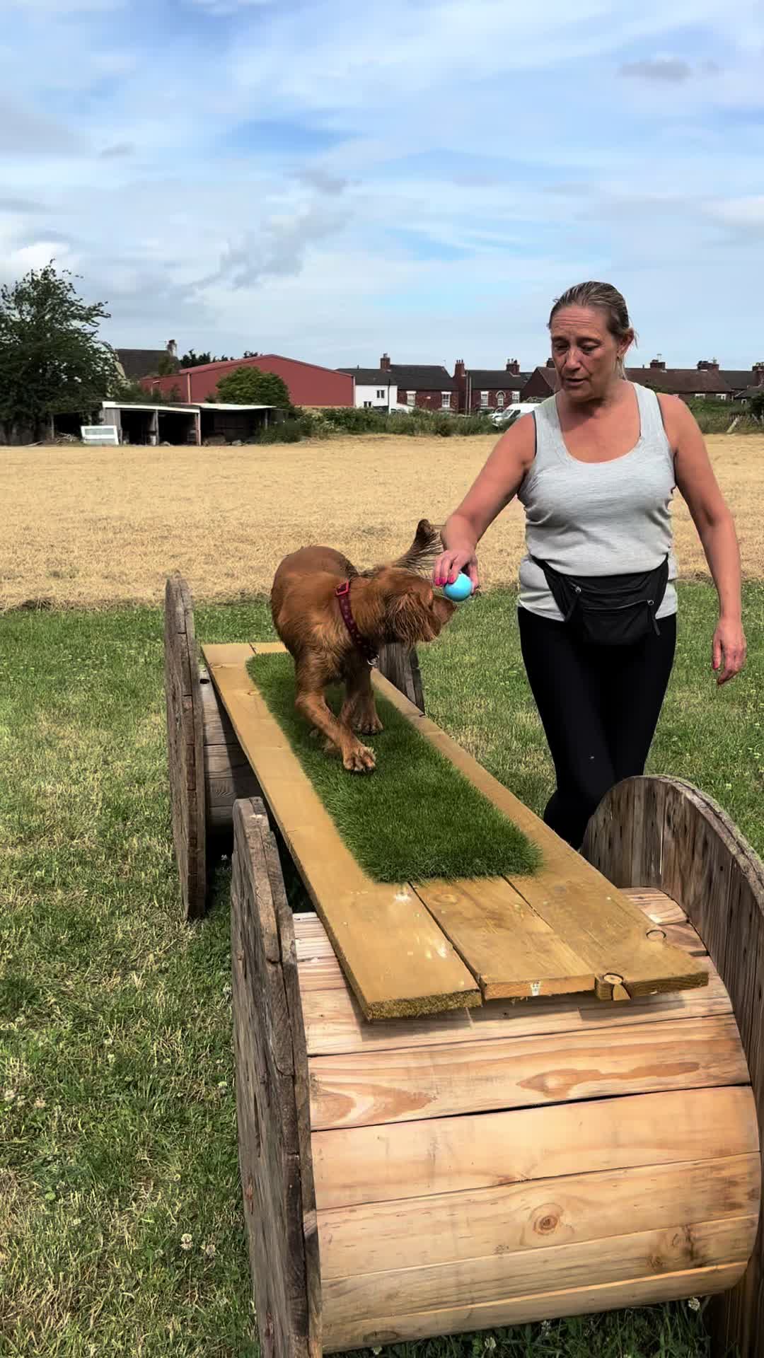 @KAKEK9 TRAINING LTD