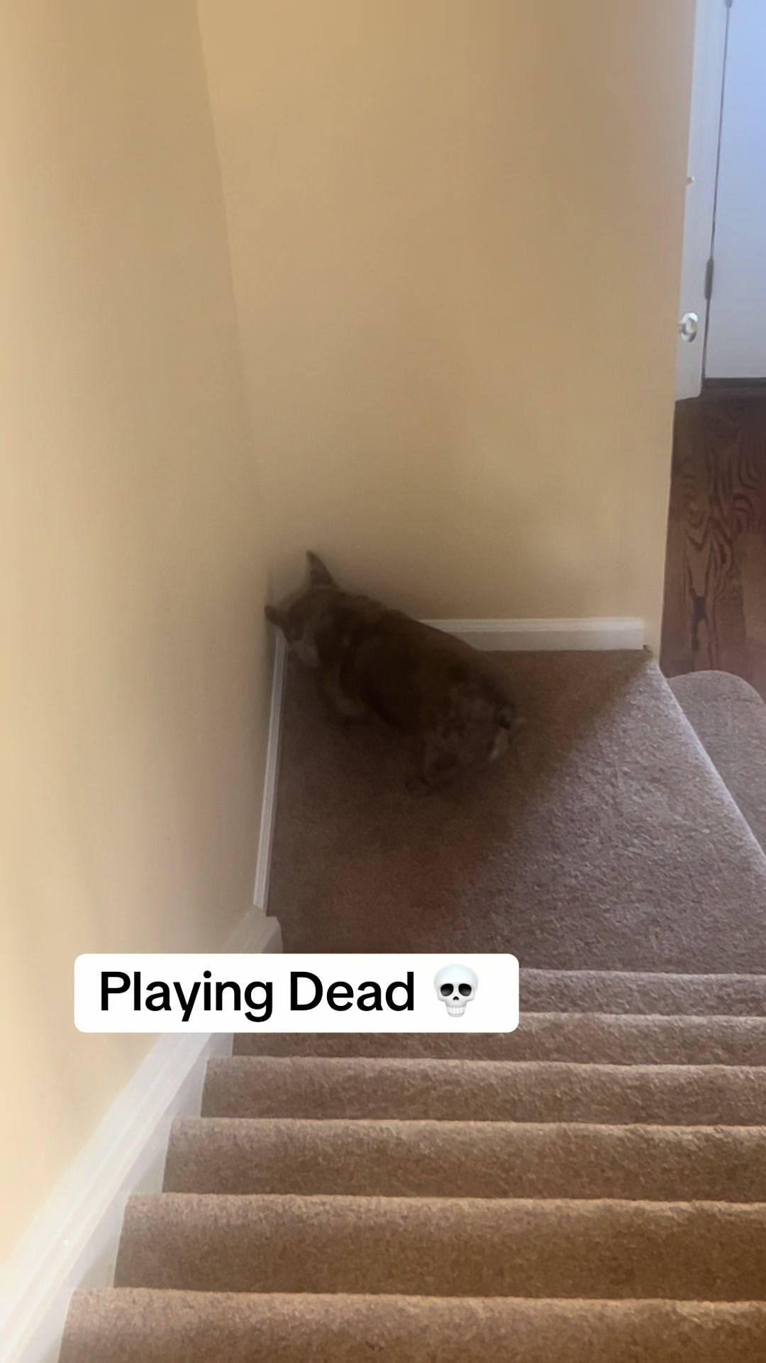 @Kiki