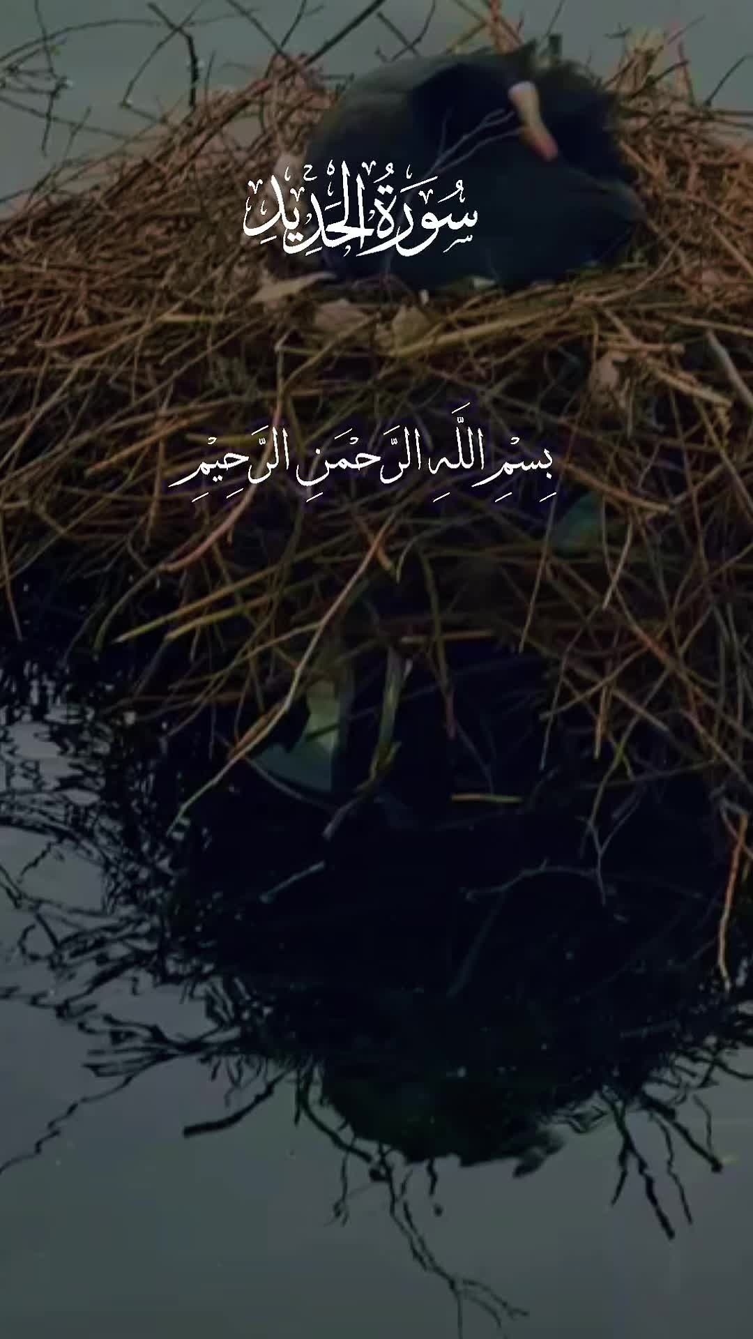 @maqrafiq