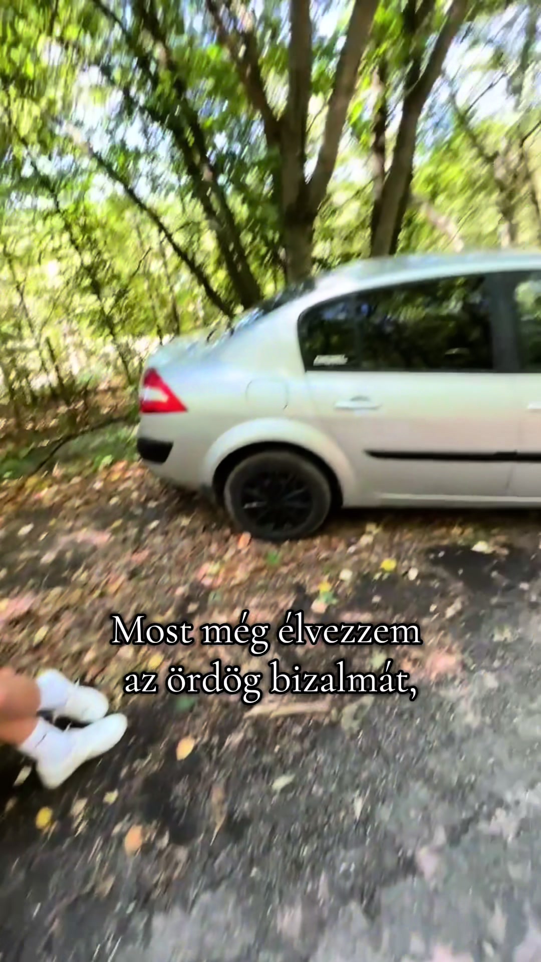@Szabó Dávid