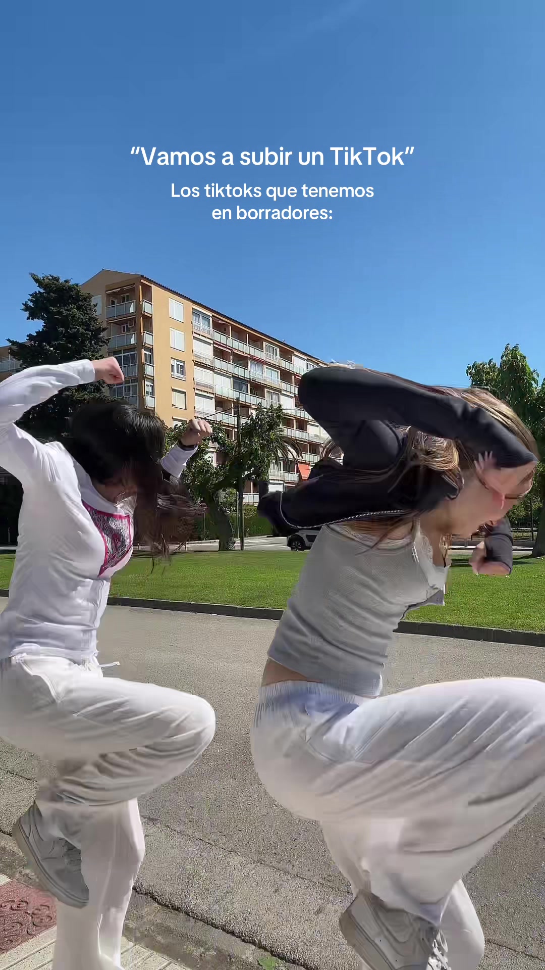 @myaugav