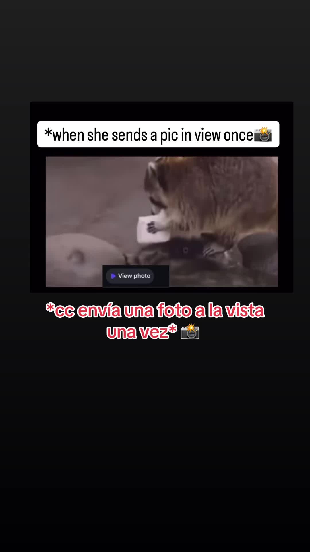 @vl0gsca