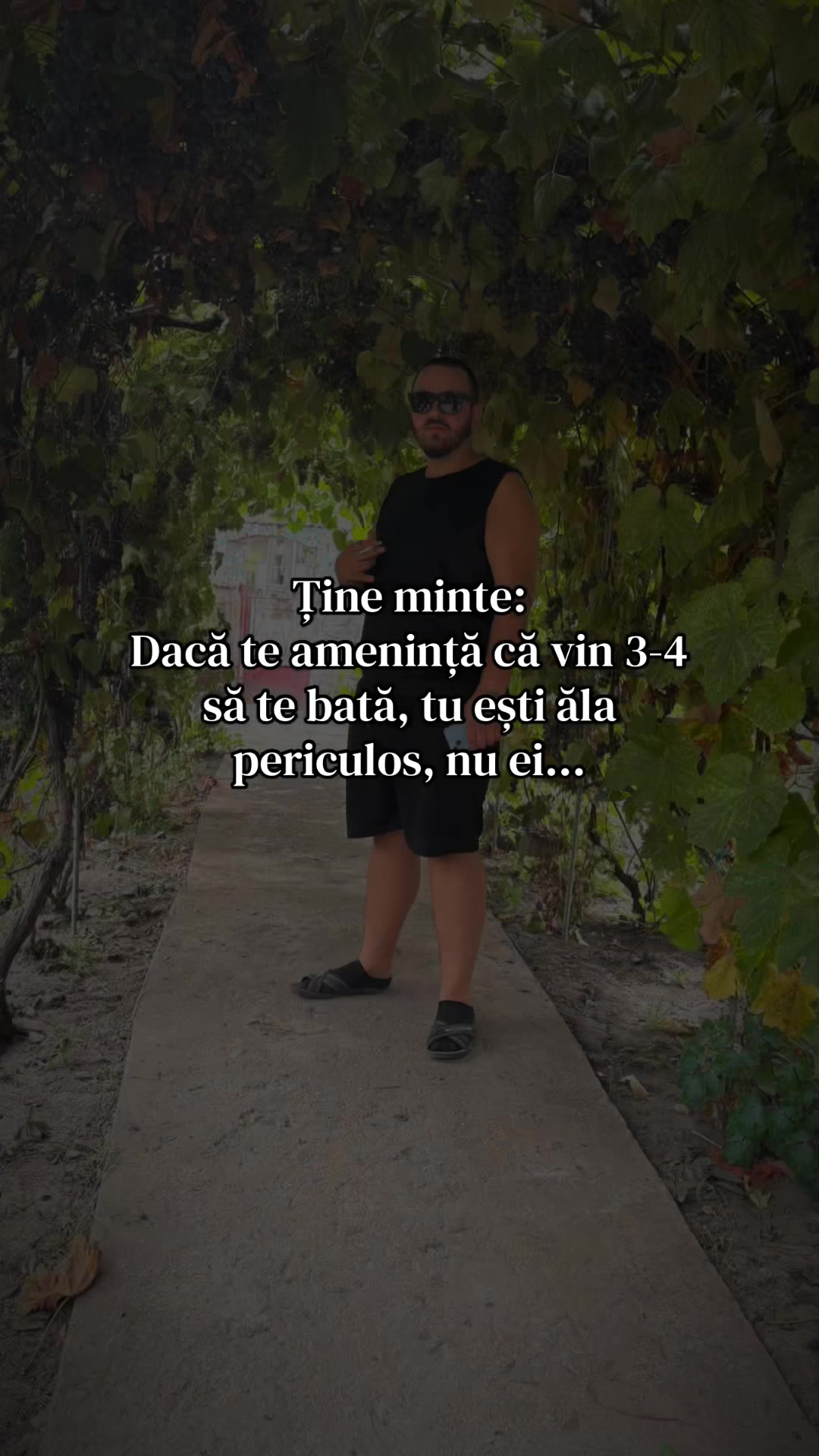 @renaldo