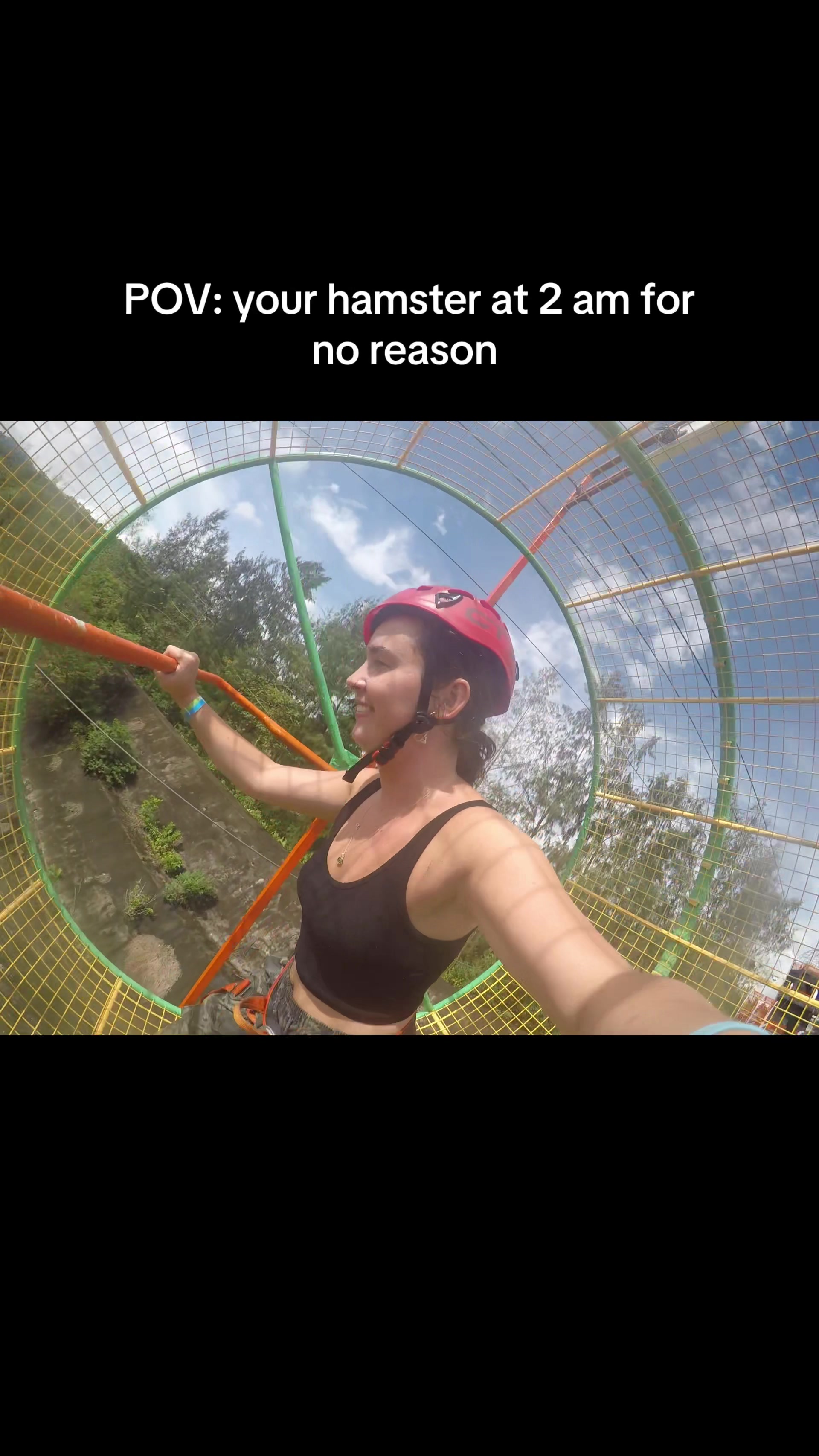 @diaryofrbs
