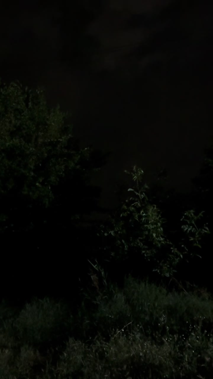 @Настюха KRD