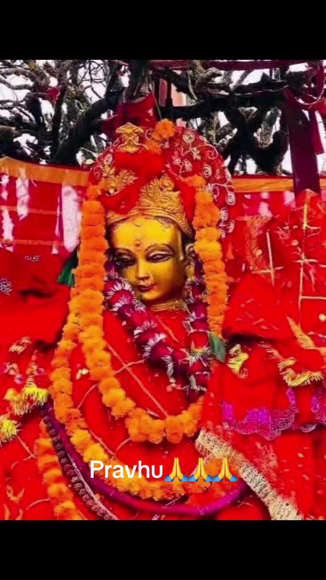 @nirmalabaral680