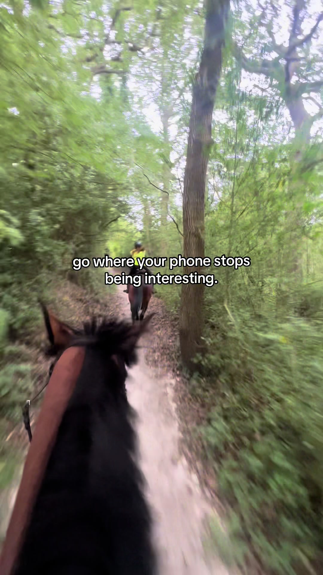 @BlackHeartEquestrian
