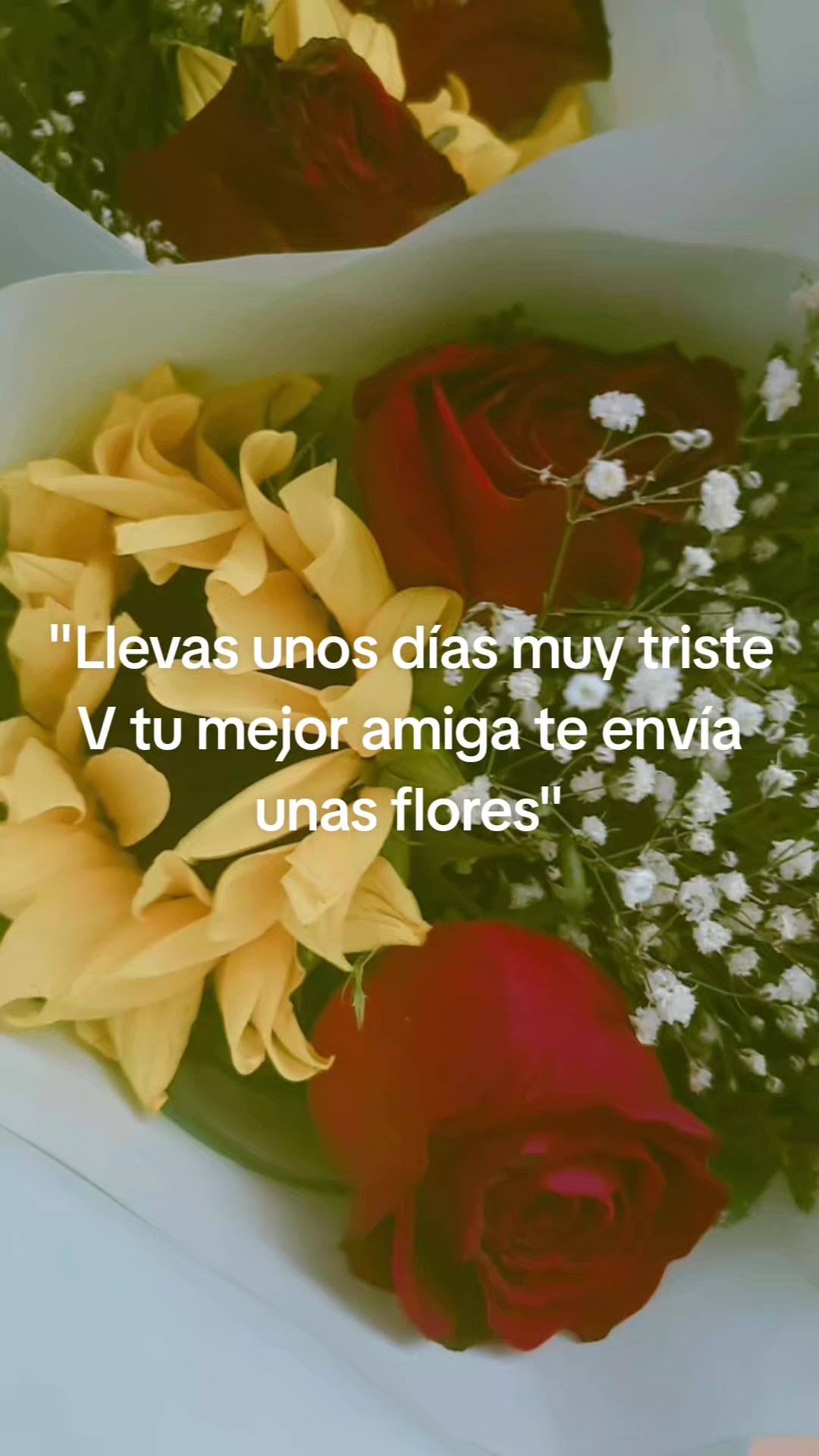 @garcia