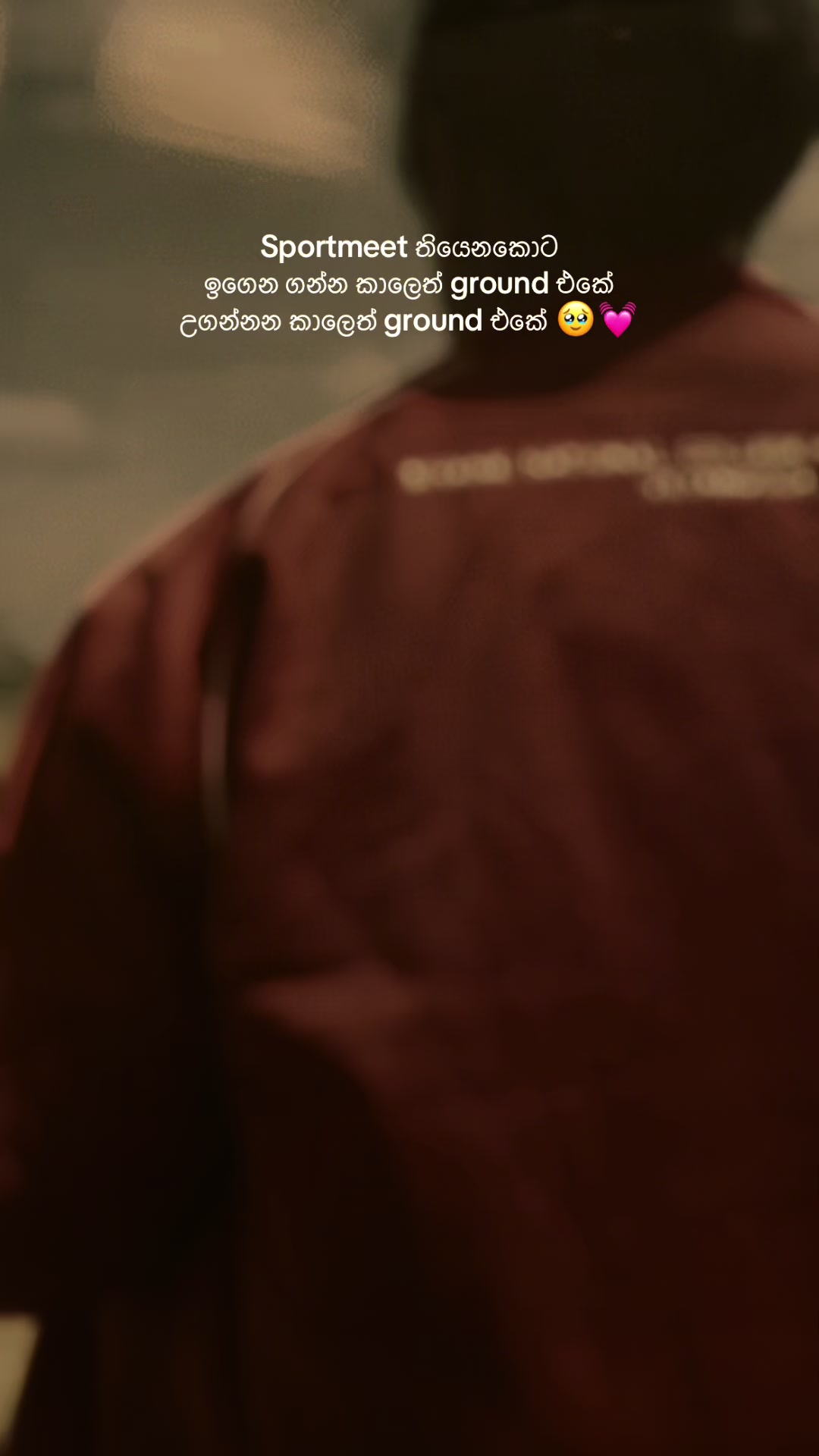 @S H A N I 🦋 🎀