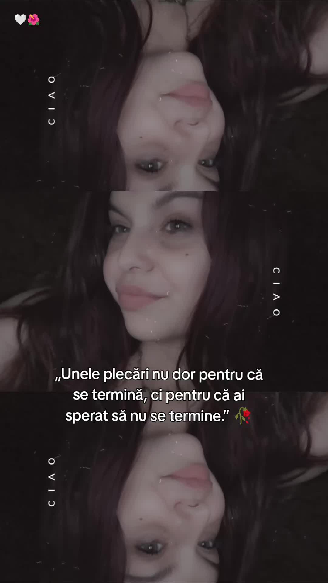 @pitica ta