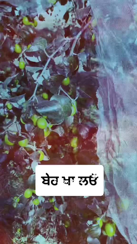 @Aujla😊Kaur