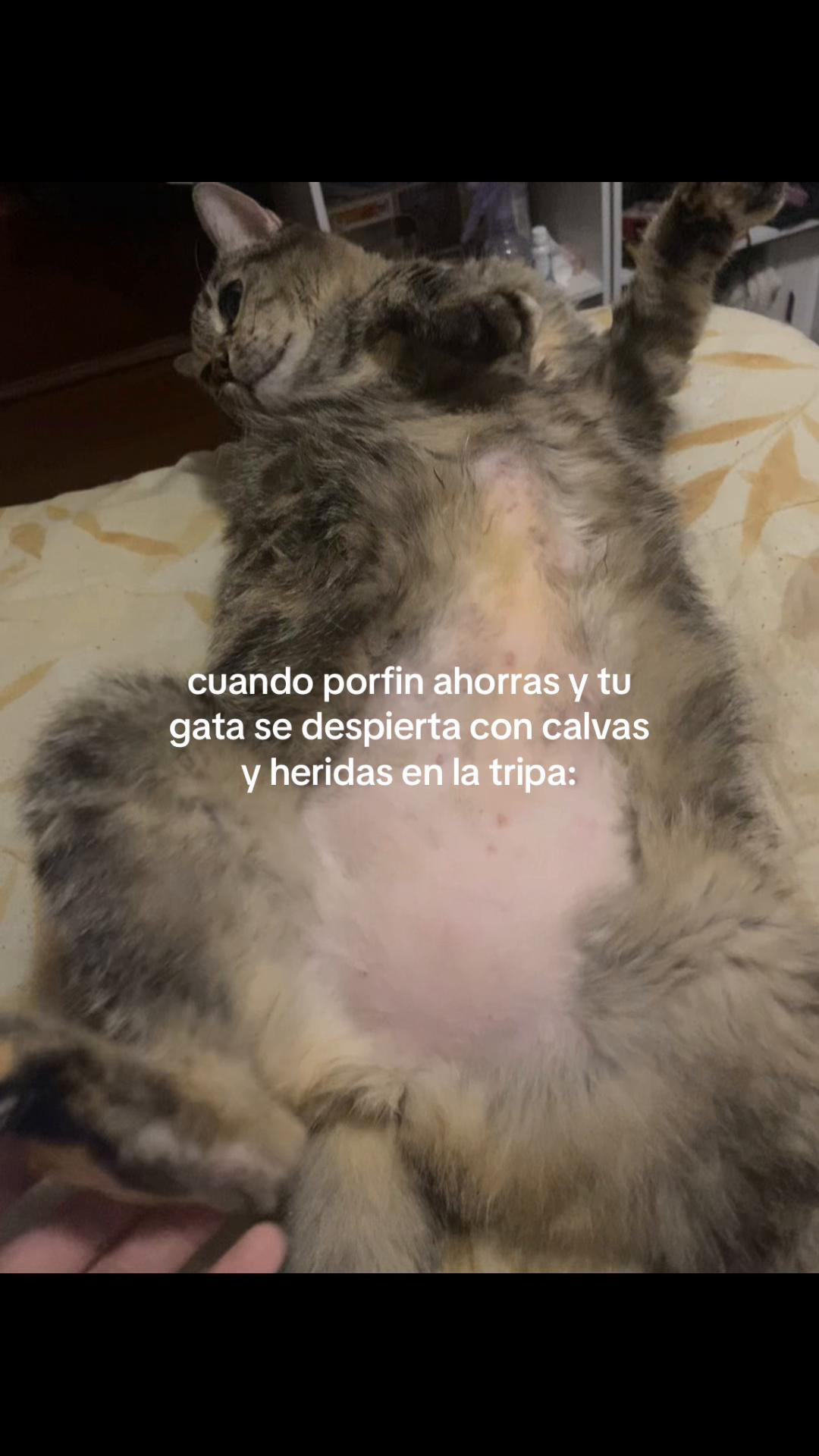 @Lena