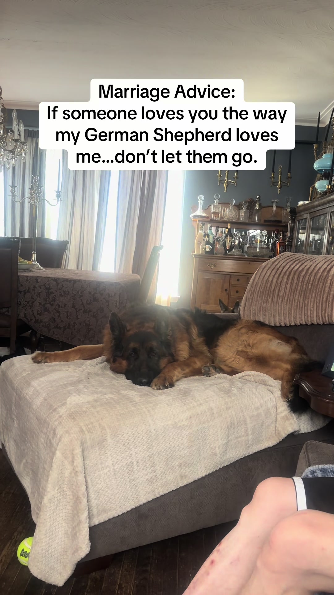 @ksdoggos