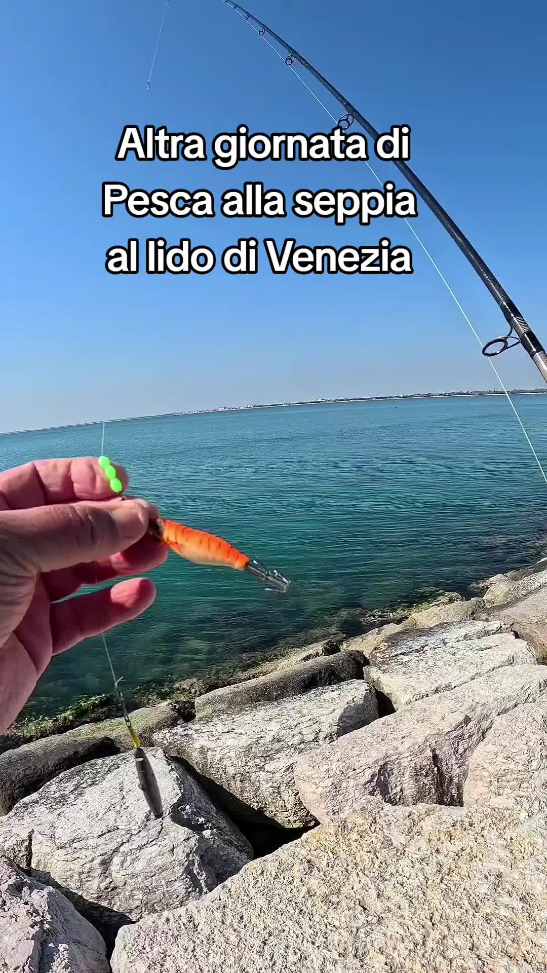 @🎣 maurizio 🇮🇹