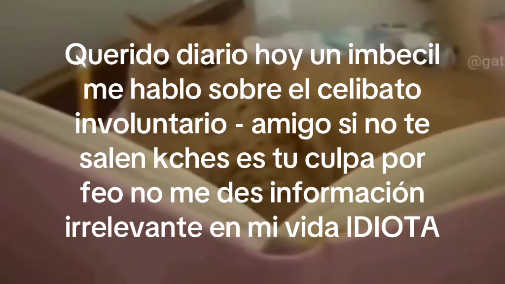 @Michifulin