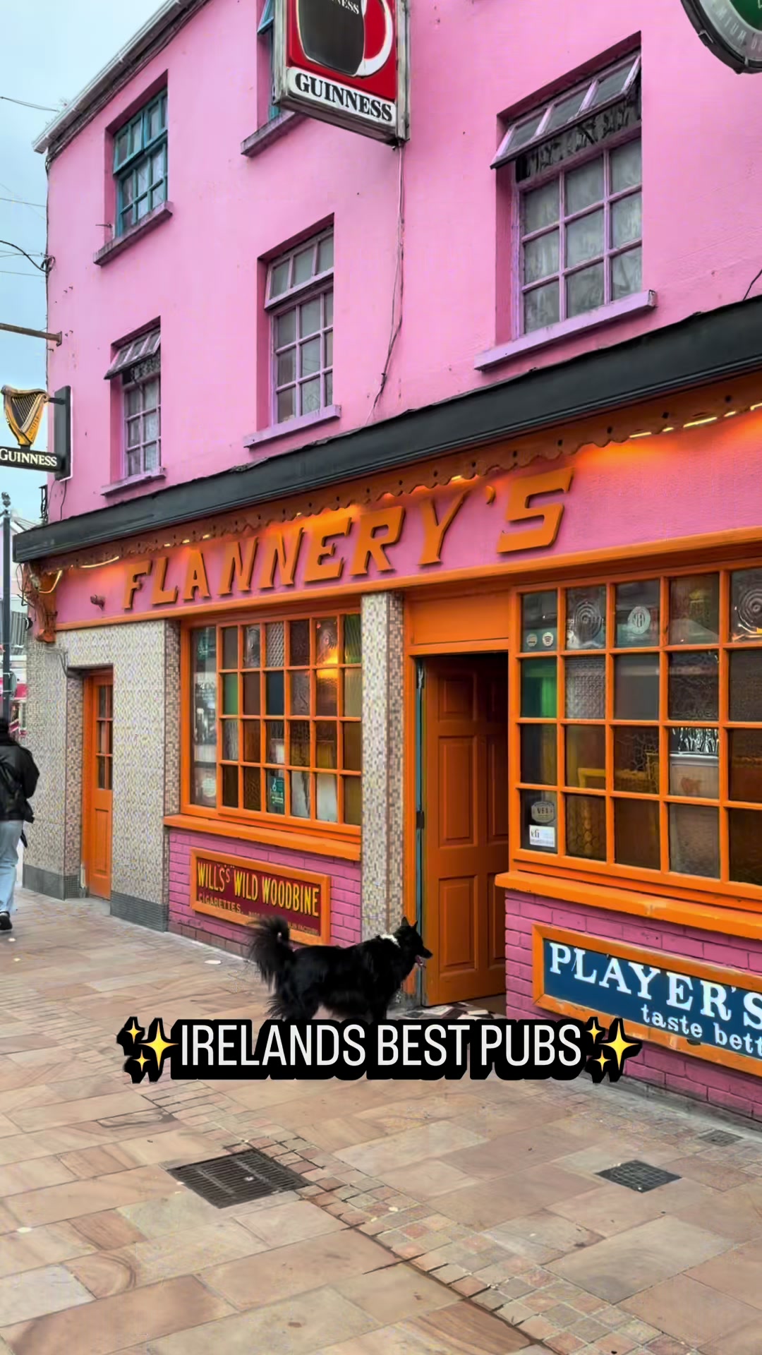 @All Things Nom Ireland