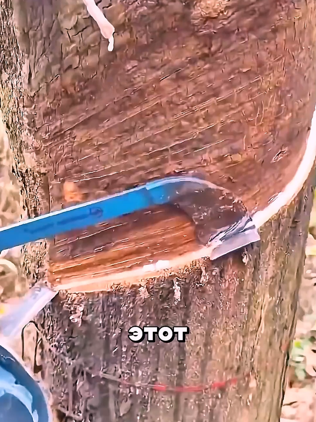 @optue 8675
