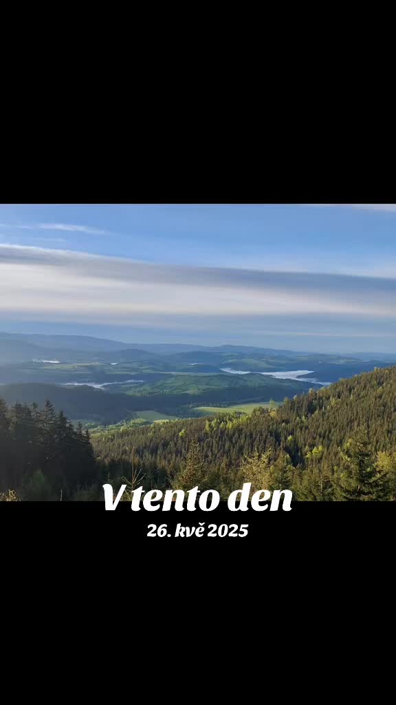 @🌲🌲Prosťě Fidla🤷♂️🤷♂️🌲🌲