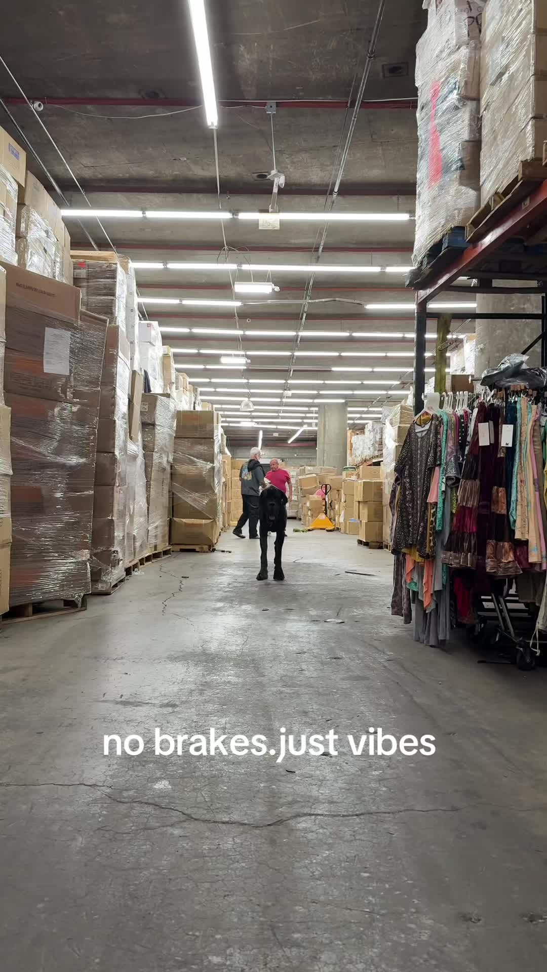 @Theo + Mo