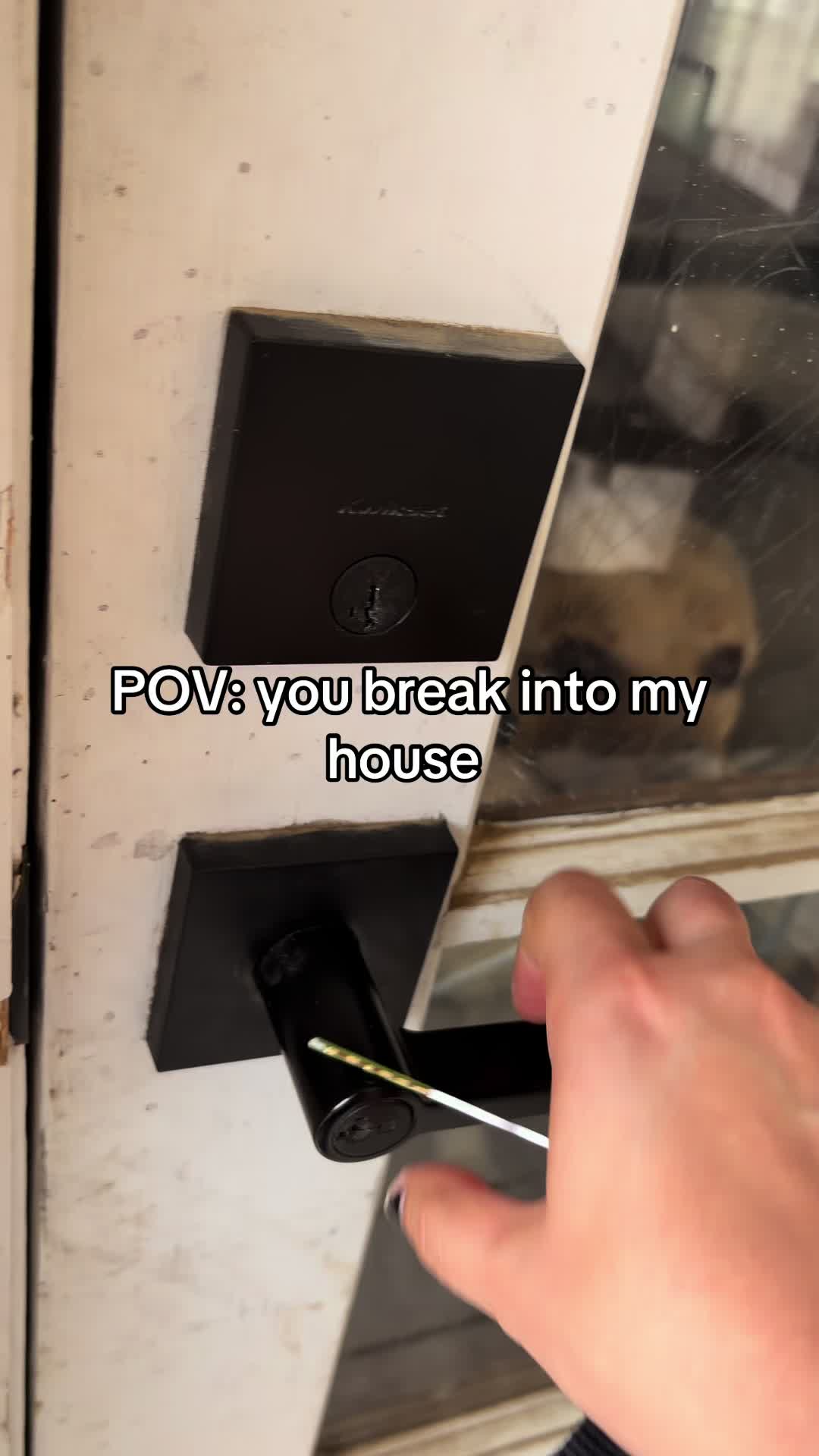 @Lexie